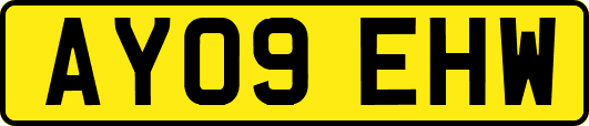 AY09EHW