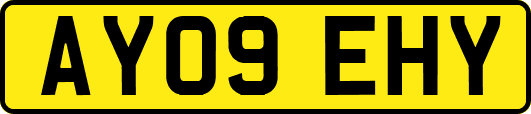 AY09EHY