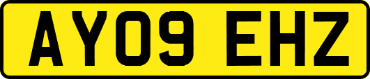 AY09EHZ