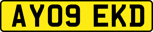 AY09EKD