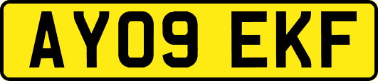 AY09EKF