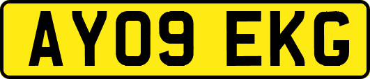 AY09EKG