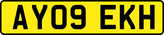 AY09EKH