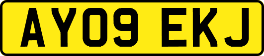 AY09EKJ
