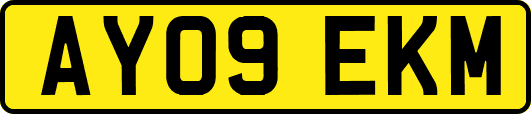 AY09EKM