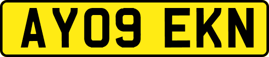 AY09EKN