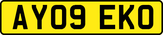 AY09EKO
