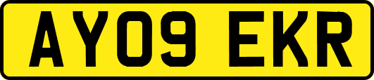 AY09EKR