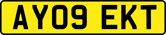AY09EKT