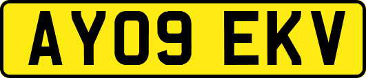 AY09EKV