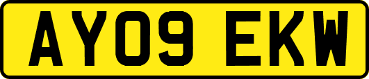 AY09EKW