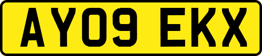 AY09EKX
