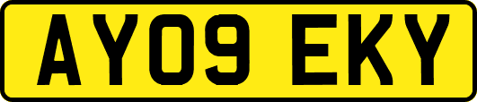 AY09EKY