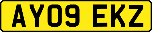 AY09EKZ