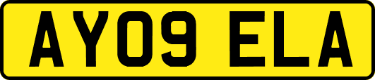 AY09ELA