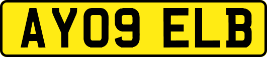 AY09ELB