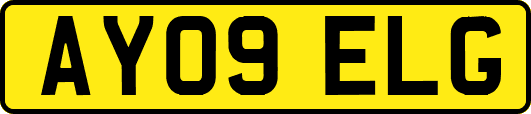 AY09ELG