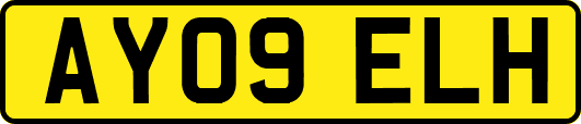 AY09ELH