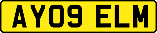 AY09ELM