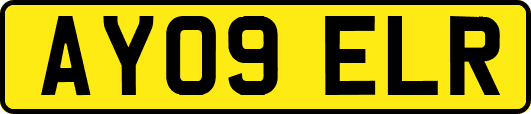 AY09ELR