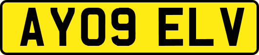 AY09ELV