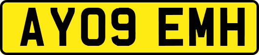 AY09EMH