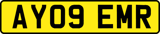 AY09EMR