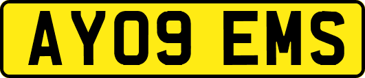 AY09EMS