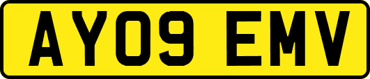 AY09EMV