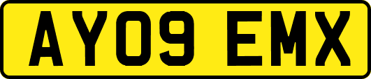 AY09EMX