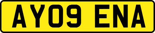 AY09ENA