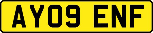 AY09ENF