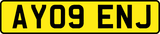 AY09ENJ