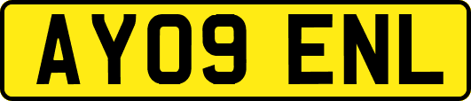 AY09ENL