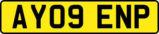 AY09ENP