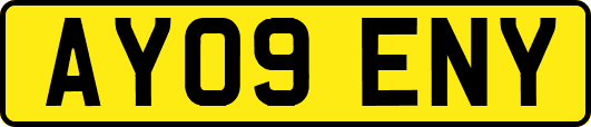 AY09ENY
