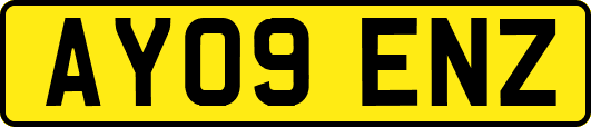 AY09ENZ
