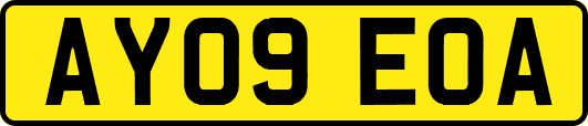 AY09EOA