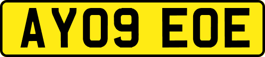 AY09EOE