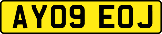 AY09EOJ