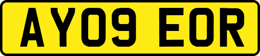 AY09EOR