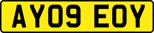 AY09EOY