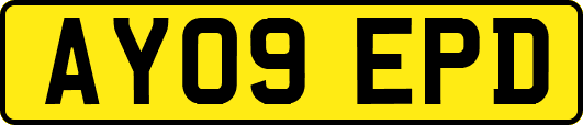 AY09EPD
