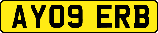 AY09ERB