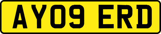 AY09ERD