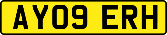 AY09ERH
