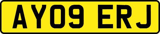 AY09ERJ