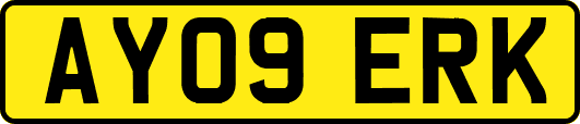 AY09ERK
