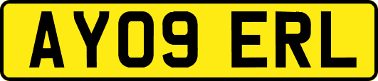 AY09ERL