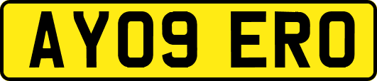 AY09ERO
